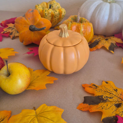 Candela Zucca Autunnale