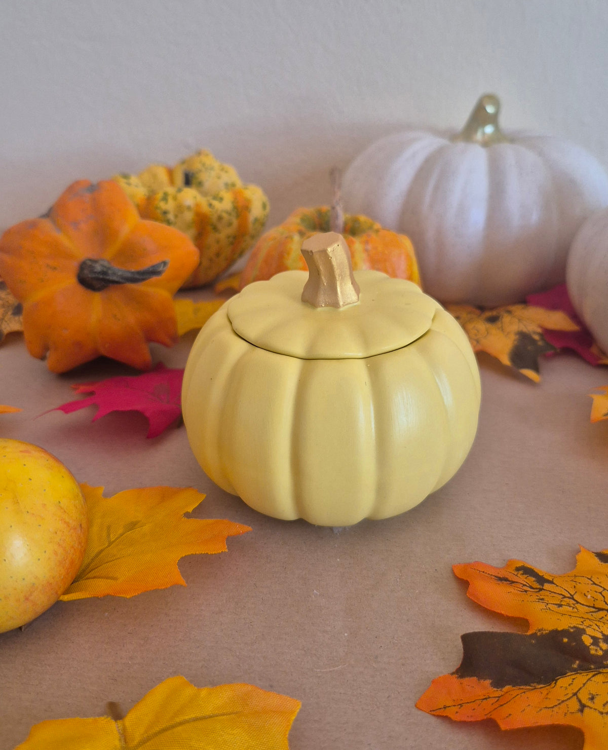 Candela Zucca Autunnale