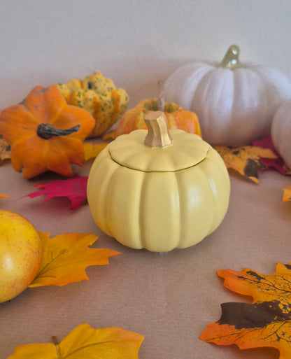 Candela Zucca Autunnale