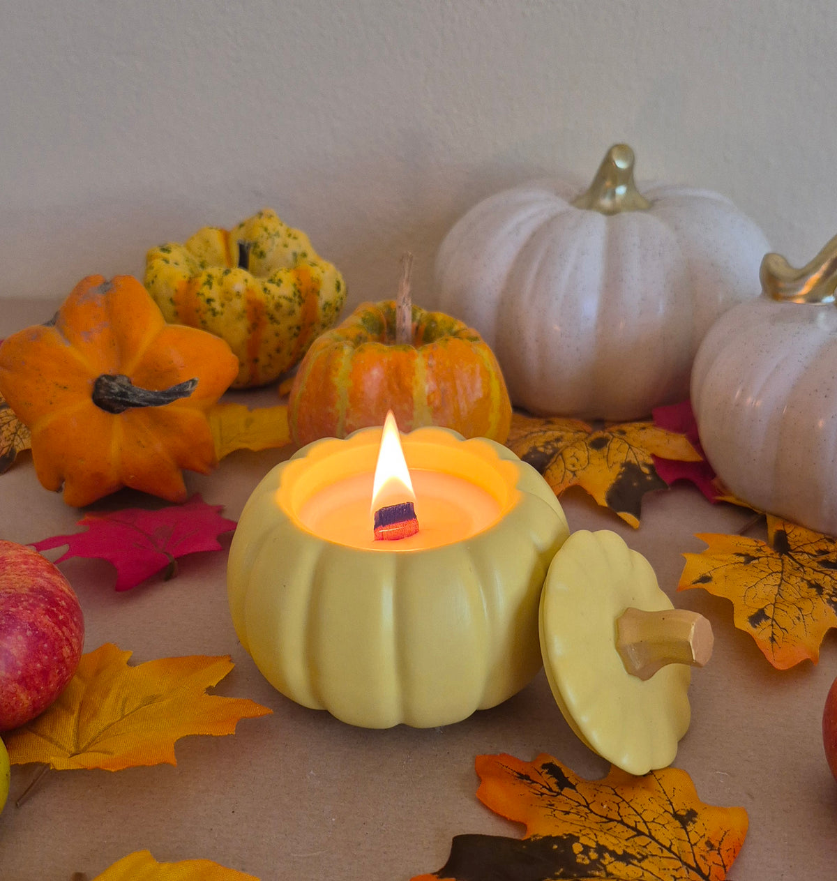 Candela Zucca Autunnale